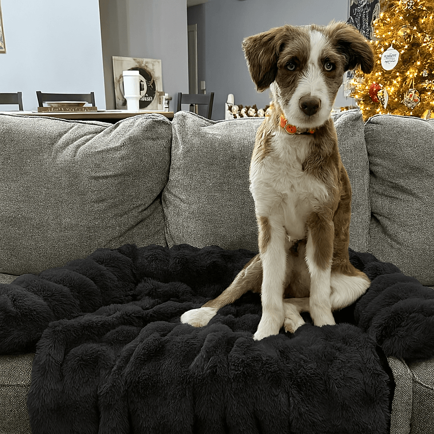 Pelsbarn Luxurious Sofa Bed ( 1+1 ) Golden Age