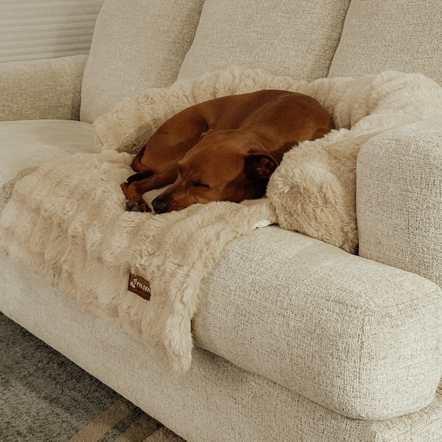 Pelsbarn Luxurious Sofa Bed ( 1+1 ) Golden Age