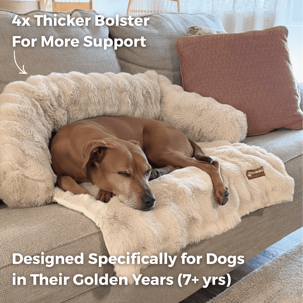 Pelsbarn Luxurious Sofa Bed ( 1+1 ) Golden Age